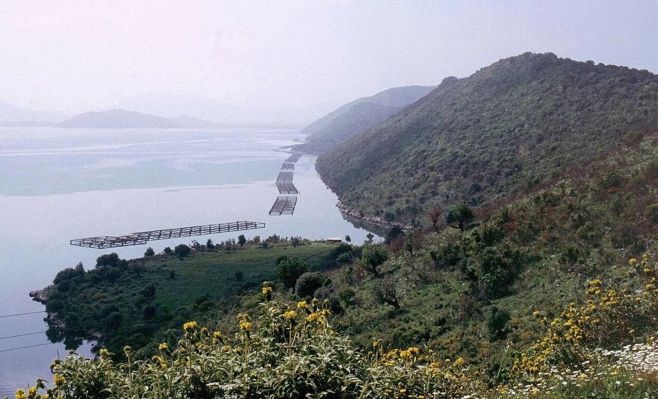 Lac de Butrint et installations mytilicoles, photographie d’archive de 1991